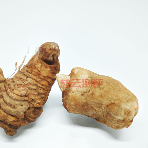 老左聊姜(老左聊姜苗期)