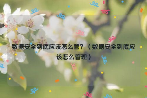 数据安全到底应该怎么管？（数据安全到底应该怎么管理）