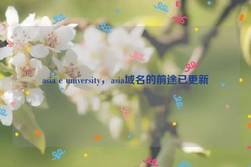 asia e university，asia域名的前途已更新