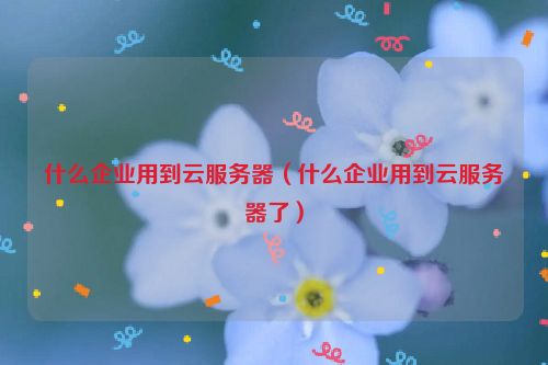 什么企业用到云服务器（什么企业用到云服务器了）