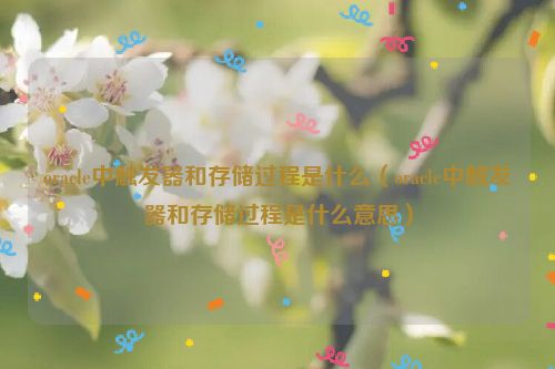 oracle中触发器和存储过程是什么（oracle中触发器和存储过程是什么意思）