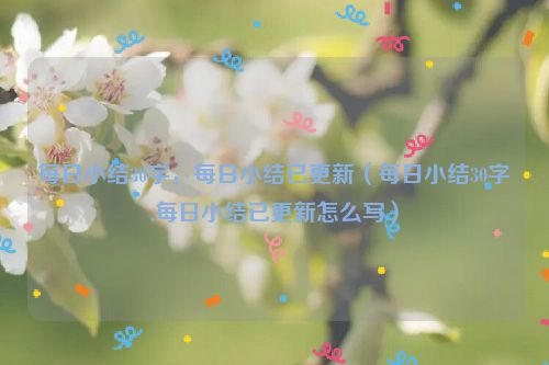 每日小结30字，每日小结已更新（每日小结30字,每日小结已更新怎么写）