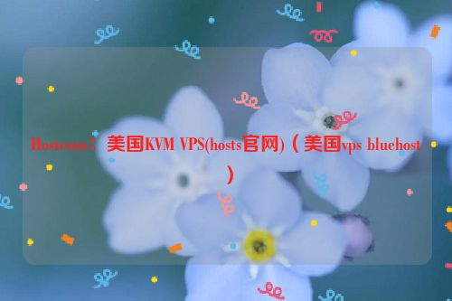 Hosteons：美国KVM VPS(hosts官网)（美国vps bluehost）