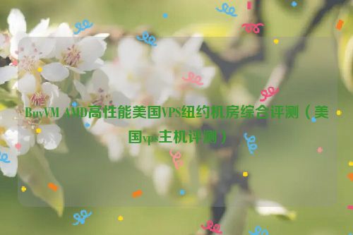 BuyVM AMD高性能美国VPS纽约机房综合评测（美国vps主机评测）