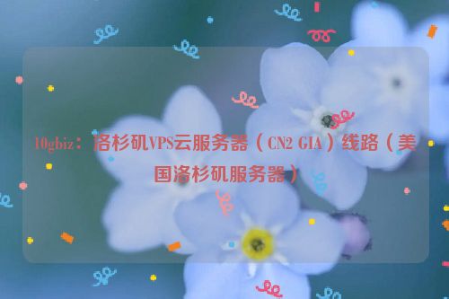 10gbiz：洛杉矶VPS云服务器（CN2 GIA）线路（美国洛杉矶服务器）