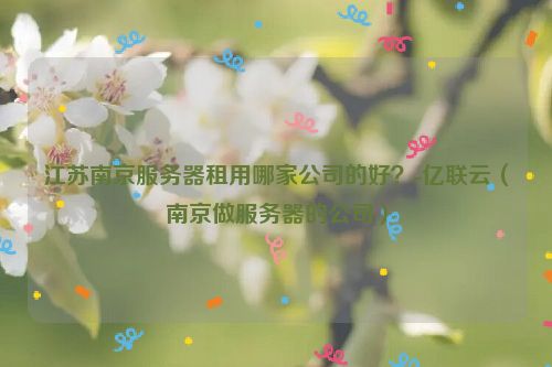 江苏南京服务器租用哪家公司的好？-亿联云（南京做服务器的公司）