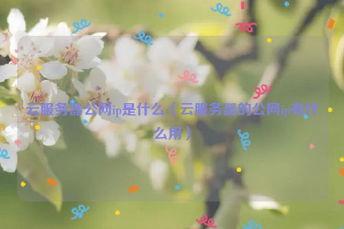 云服务器公网ip是什么（云服务器的公网ip有什么用）