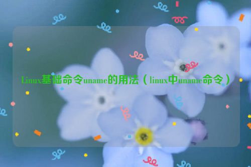 Linux基础命令uname的用法（linux中uname命令）