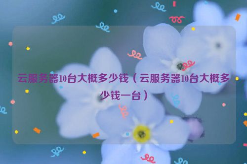 云服务器10台大概多少钱（云服务器10台大概多少钱一台）