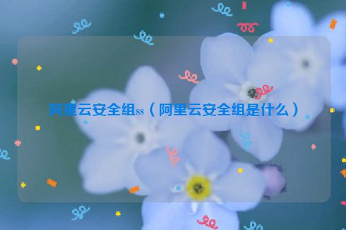 阿里云安全组ss（阿里云安全组是什么）