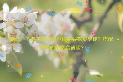 制作一个购物中心的小程序要花多少钱？搭配多大的带宽合适呢？