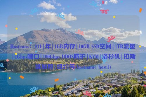 Hosteons：$11|年|1GB内存|10GB SSD空间|1TB流量|1Gbps端口|100Gbps DDOS防护|KVM|洛杉矶|拉斯维加斯|纽约等(hostname host1)