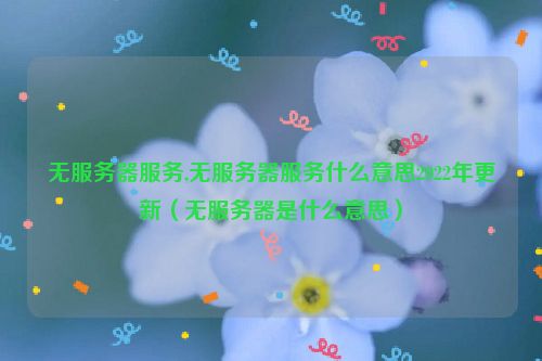 无服务器服务,无服务器服务什么意思2022年更新（无服务器是什么意思）