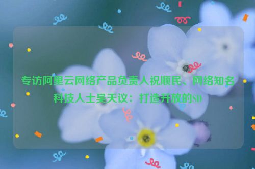 专访阿里云网络产品负责人祝顺民、网络知名科技人士吴天议：打造开放的SD