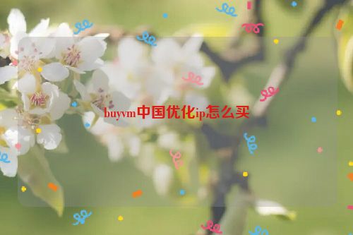 buyvm中国优化ip怎么买