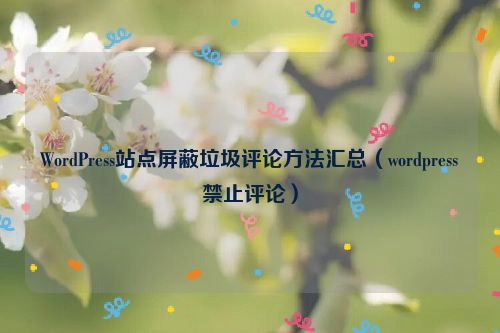 WordPress站点屏蔽垃圾评论方法汇总（wordpress禁止评论）