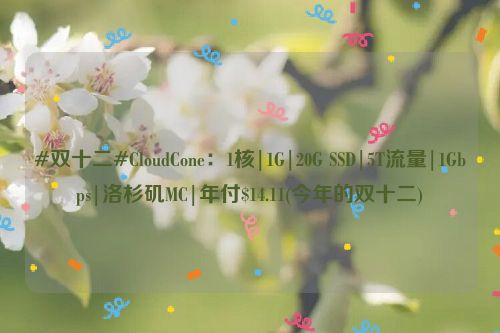 #双十二#CloudCone：1核|1G|20G SSD|5T流量|1Gbps|洛杉矶MC|年付$14.11(今年的双十二)