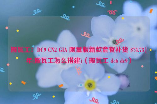 搬瓦工：DC9 CN2 GIA 限量版新款套餐补货 $74.73|年(搬瓦工怎么搭建)（搬瓦工 dc6 dc9）