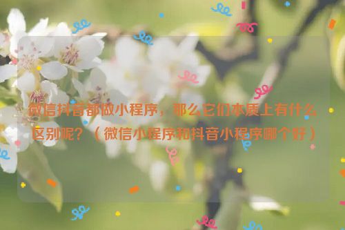 微信抖音都做小程序，那么它们本质上有什么区别呢？（微信小程序和抖音小程序哪个好）