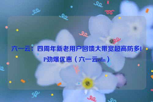 六一云：四周年新老用户回馈大带宽超高防多IP劲爆优惠（六一云cdn）