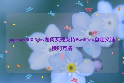 phpStudy2018 Nginx如何实现支持WordPress自定义链接的方法