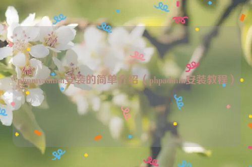 phpmyadmin安装的简单介绍（phpadmin安装教程）