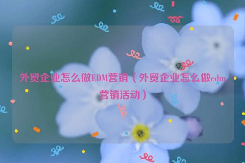 外贸企业怎么做EDM营销（外贸企业怎么做edm营销活动）