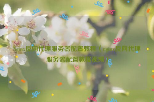 Nginx反向代理服务器配置教程（nginx反向代理服务器配置教程视频）