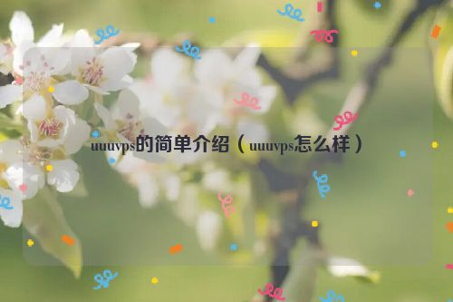 uuuvps的简单介绍（uuuvps怎么样）