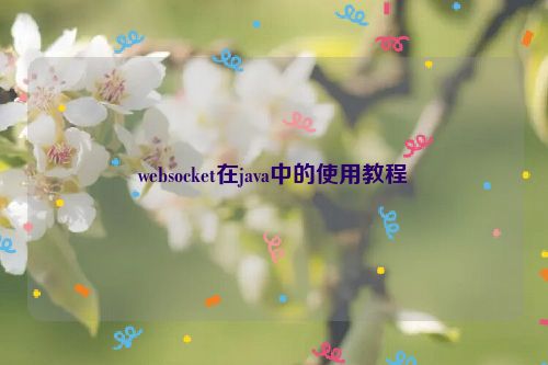 websocket在java中的使用教程