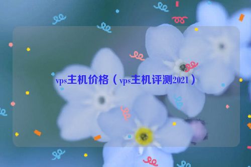 vps主机价格（vps主机评测2021）