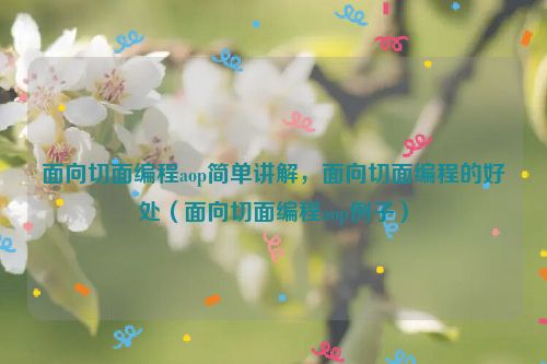 面向切面编程aop简单讲解，面向切面编程的好处（面向切面编程aop例子）