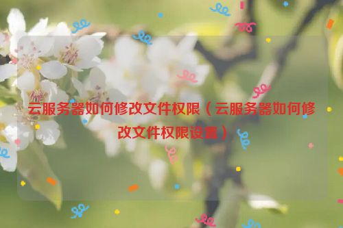 云服务器如何修改文件权限（云服务器如何修改文件权限设置）