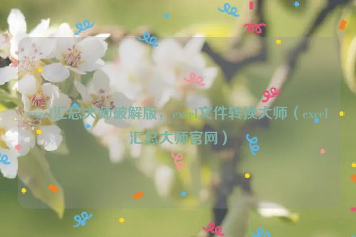 excel汇总大师破解版，excel文件转换大师（excel汇总大师官网）