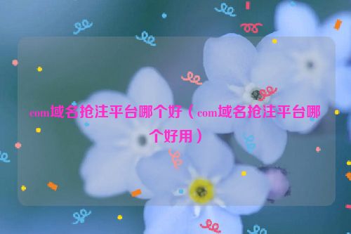 com域名抢注平台哪个好（com域名抢注平台哪个好用）