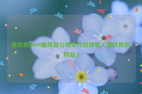 重庆防DDOS服务器公司全方位体验（重庆防坑网站）