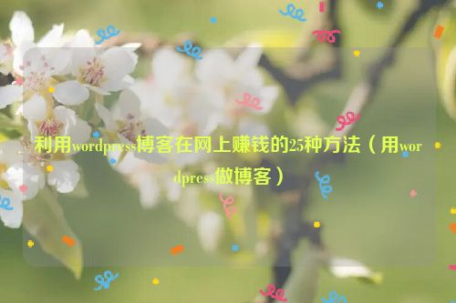 利用wordpress博客在网上赚钱的25种方法（用wordpress做博客）