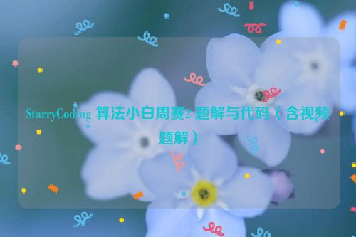 StarryCoding 算法小白周赛2 题解与代码（含视频题解）