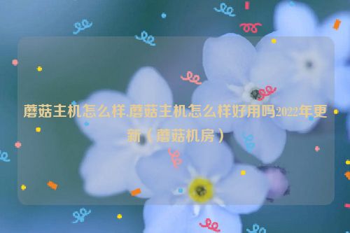 蘑菇主机怎么样,蘑菇主机怎么样好用吗2022年更新（蘑菇机房）