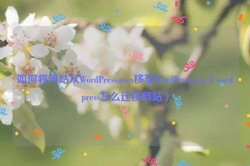 如何将网站从WordPress.com移至WordPress.org（wordpress怎么迁移网站）