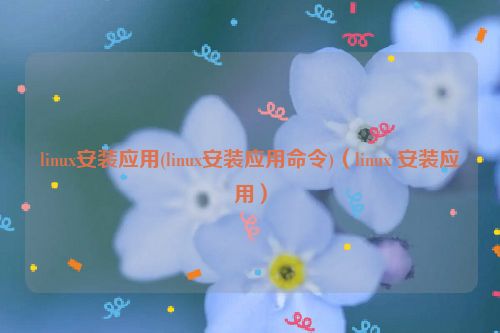 linux安装应用(linux安装应用命令)（linux 安装应用）