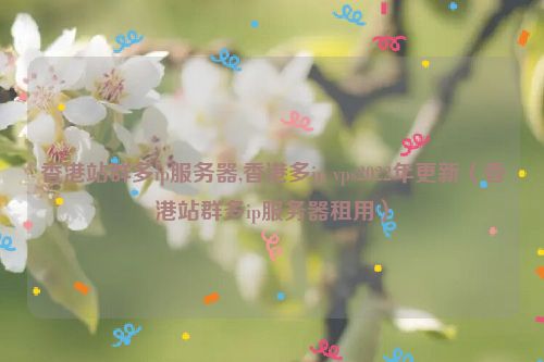 香港站群多ip服务器,香港多ip vps2022年更新（香港站群多ip服务器租用）