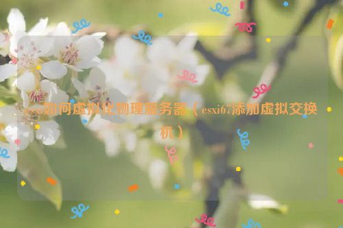 esxi如何虚拟化物理服务器（esxi67添加虚拟交换机）