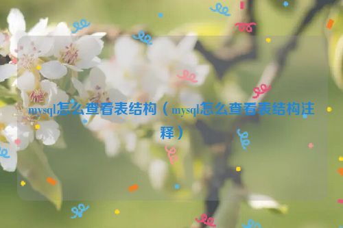 mysql怎么查看表结构（mysql怎么查看表结构注释）