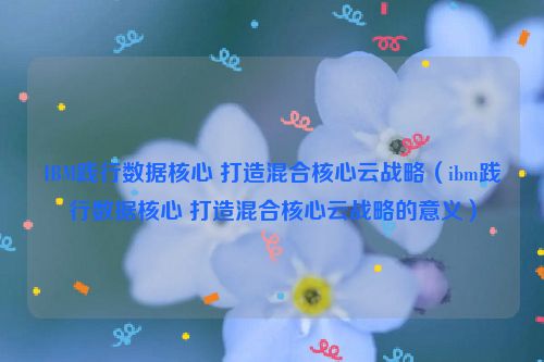 IBM践行数据核心 打造混合核心云战略（ibm践行数据核心 打造混合核心云战略的意义）