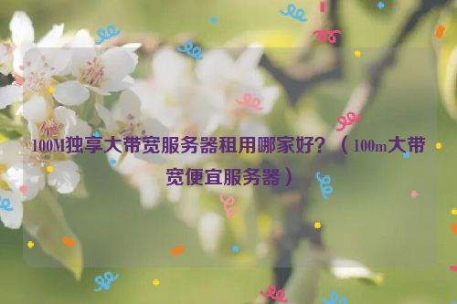 100M独享大带宽服务器租用哪家好？（100m大带宽便宜服务器）