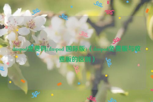 dnspod免费吗(dnspod 国际版)（dnspod免费版与收费版的区别）