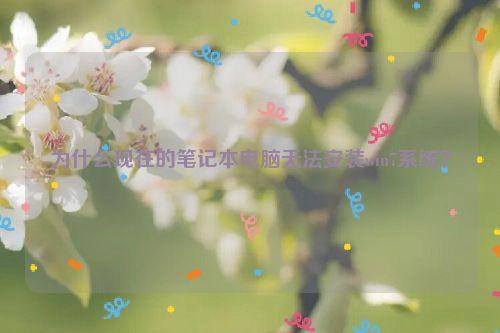 为什么现在的笔记本电脑无法安装win7系统？