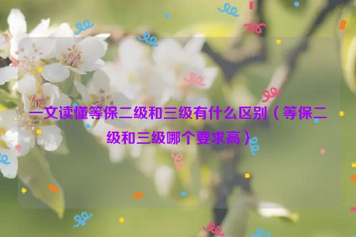 一文读懂等保二级和三级有什么区别（等保二级和三级哪个要求高）