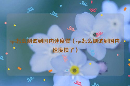 vps怎么测试到国内速度慢（vps怎么测试到国内速度慢了）